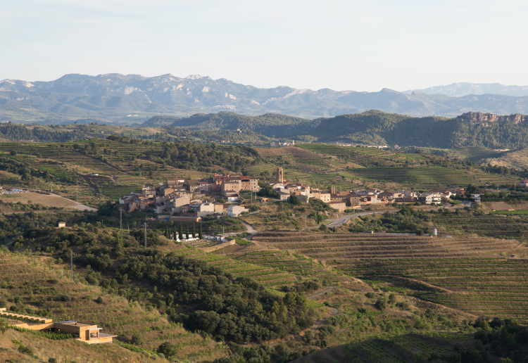 Vinícola del Priorat