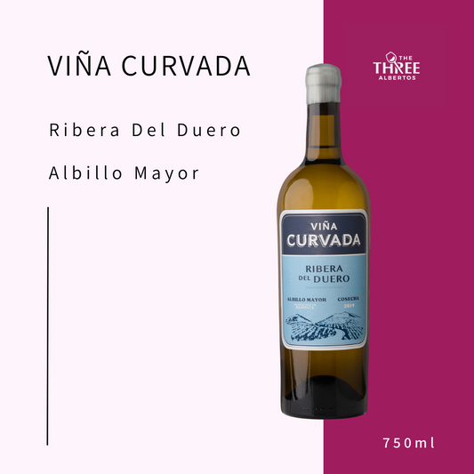 Viña Curvada Albillo Mayor 2019